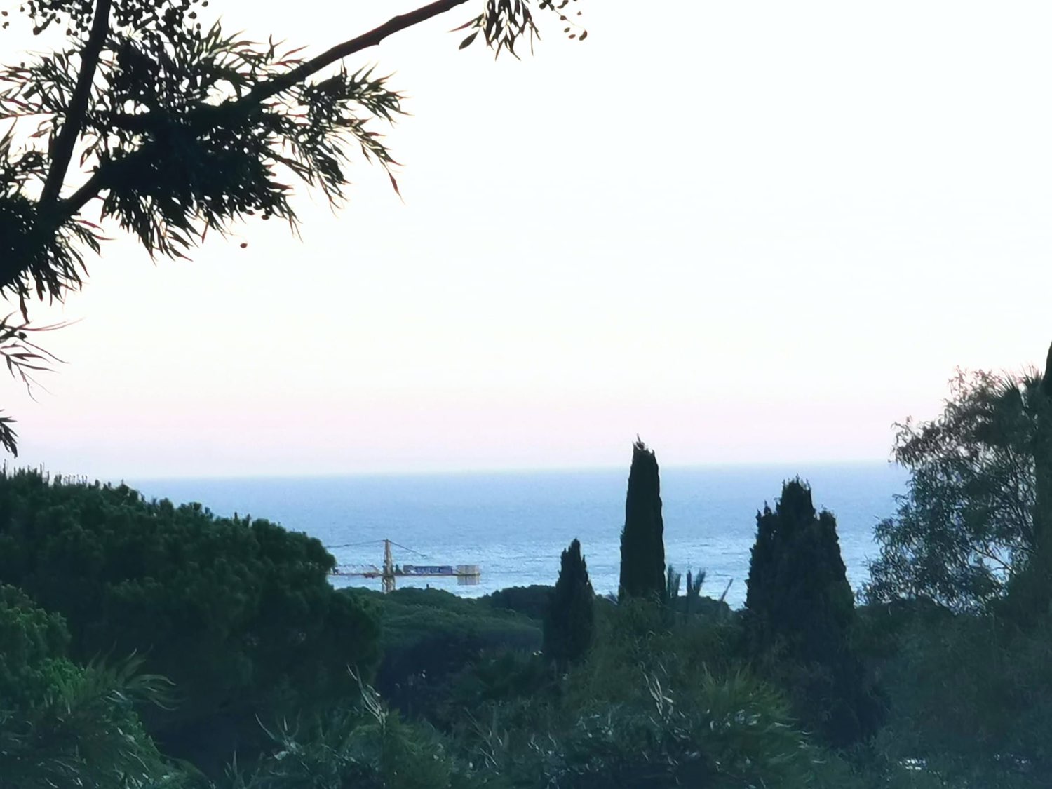 ALQUILER PISO DE LARGA TEMPORADA EN MARBELLA ZONA RESERVA DE MARBELLA
